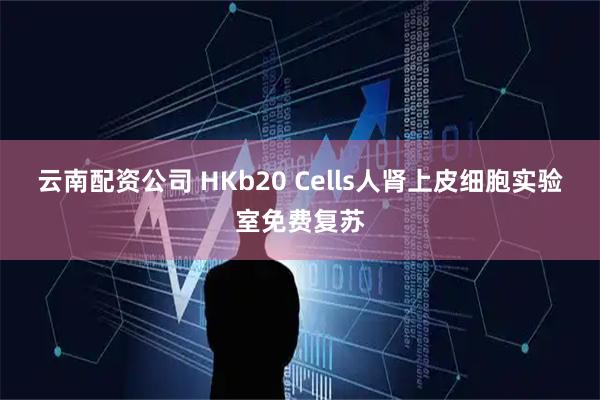 云南配资公司 HKb20 Cells人肾上皮细胞实验室免费复苏